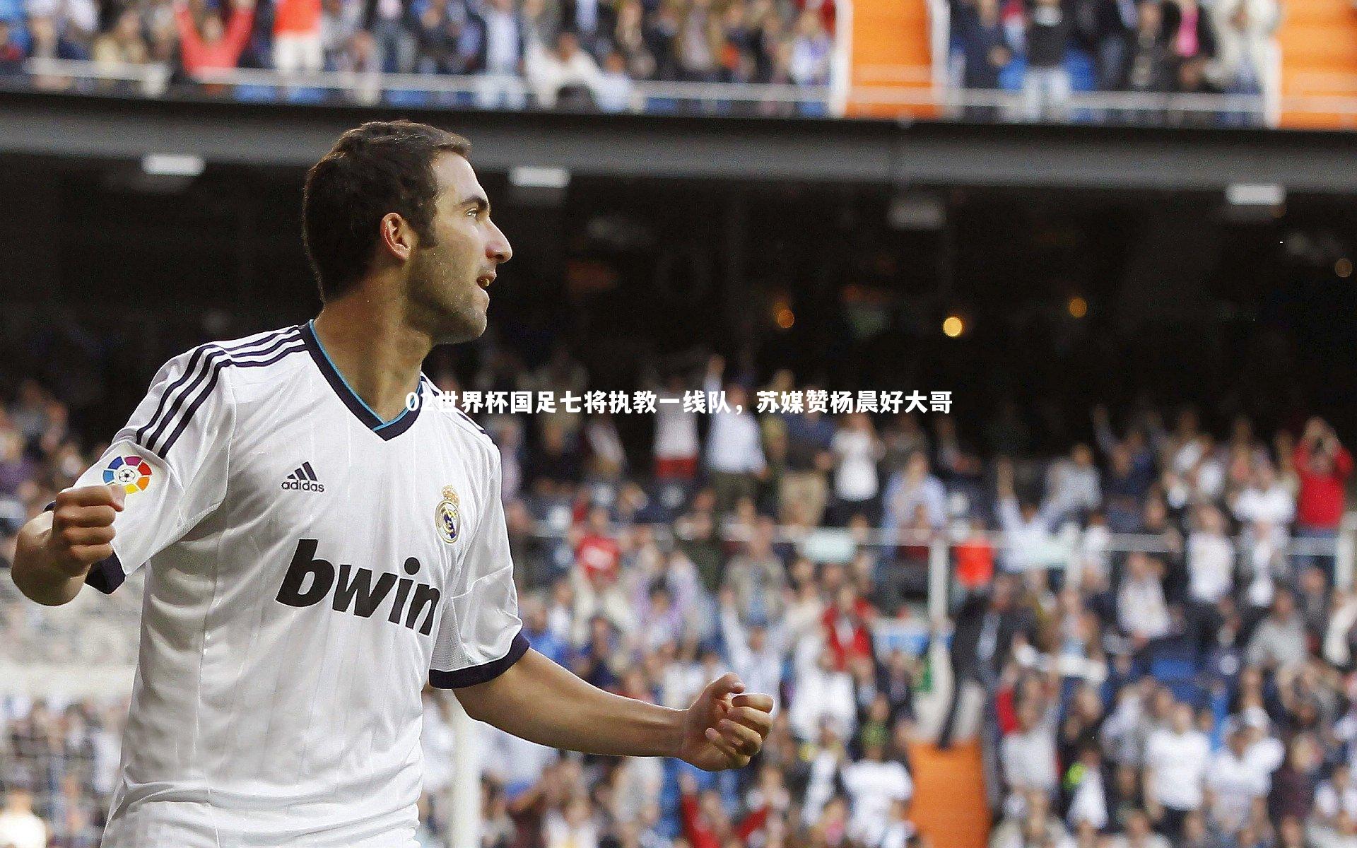 02世界杯国足七将执教一线队，苏媒赞杨晨好大哥